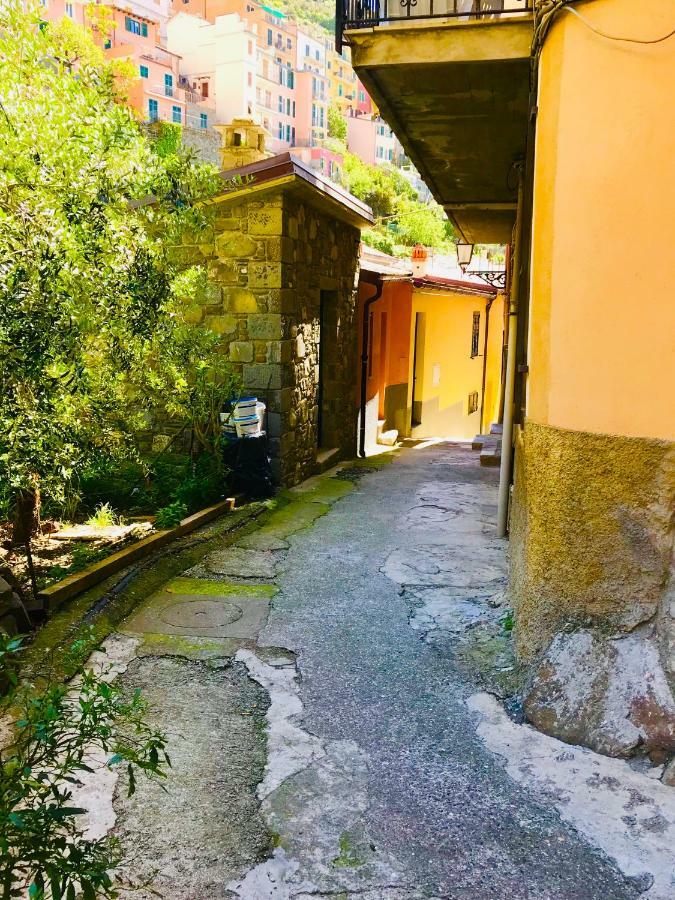 Vila La Chiocciola Manarola Exteriér fotografie
